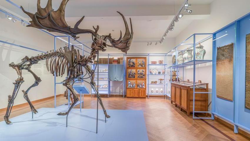 Atento Exponanza M Leuven Kennis in Zicht